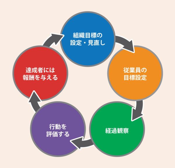 MBO 手順